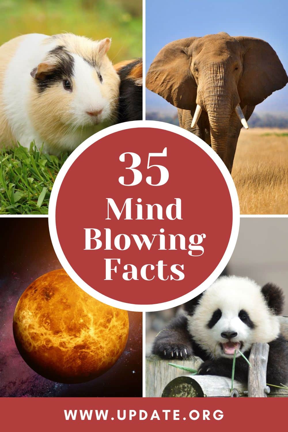 35 Mind Blowing Facts pinterest image.